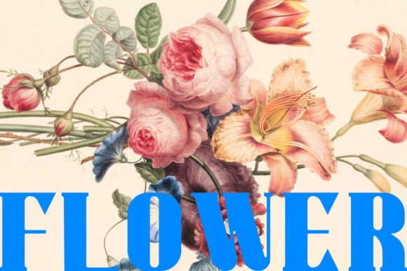 Warriot: The Bold Serif That Commands Attention